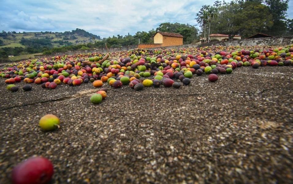 Fortuna Casas De Campo Socorro  Eksteriør bilde