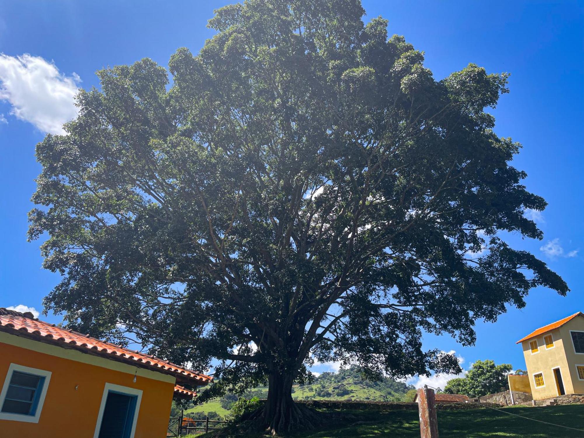 Fortuna Casas De Campo Socorro  Eksteriør bilde